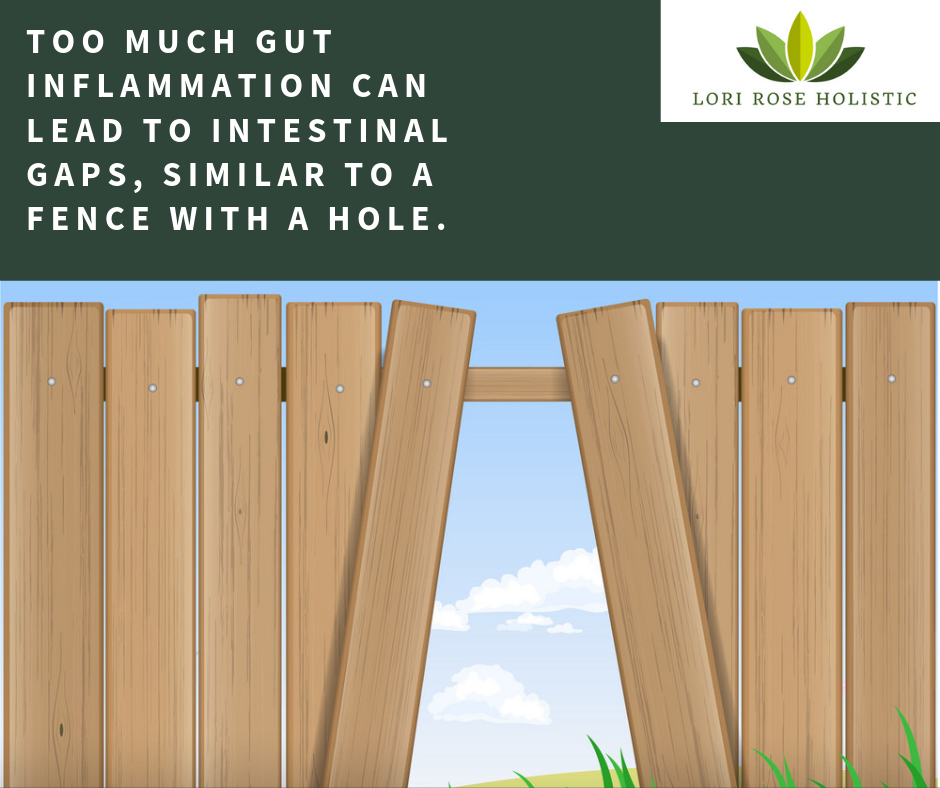 Too much inflammation can lead to gaps, similar to a fence with a hole. (1)